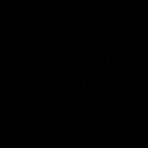 Meet your Posher, Tasheka